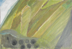 Il cielo verde
